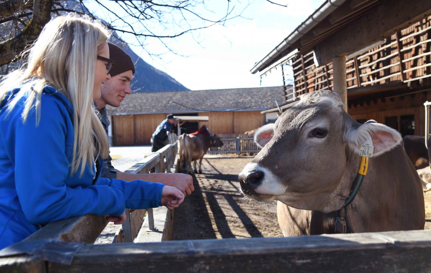 Gutshofpraxis mit Kalb Schüler und Schülerin mit Kalb