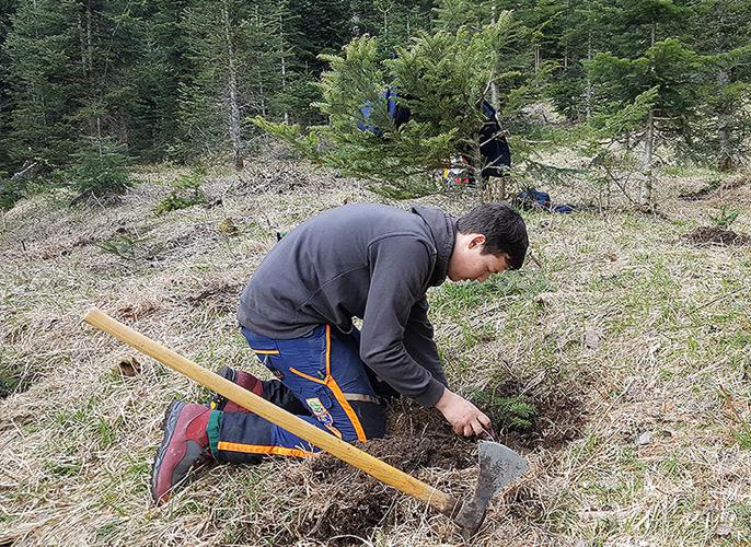 © LLA Imst Baumpflanzung