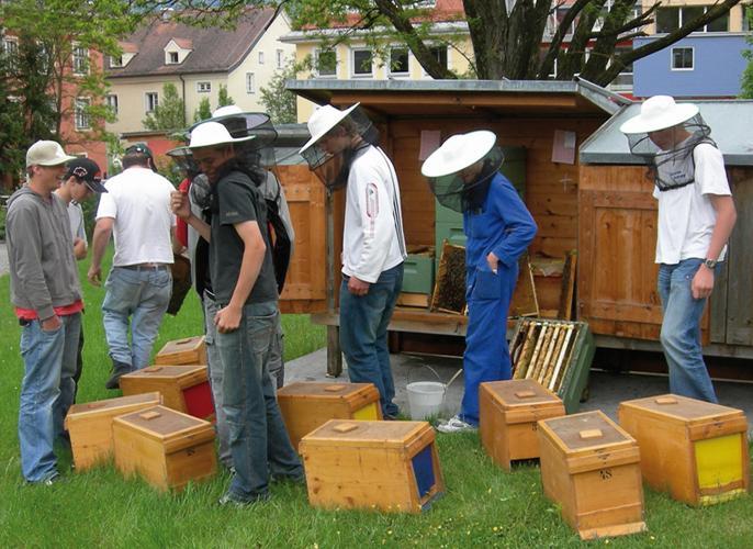© LLA Imst imkergruppe