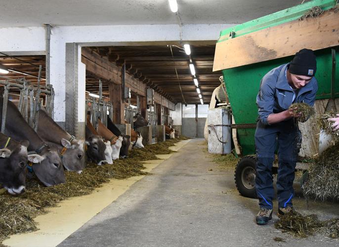 © LLA Imst Stall mit Schülern